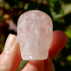 STAR Rose Quartz Crystal Skull