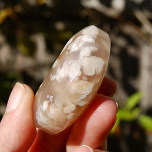 Sakura Flower Agate Crystal Moon Carving