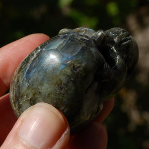 Purple Labradorite Crystal Skull