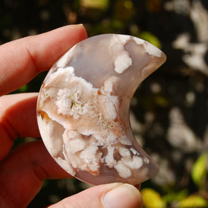 Sakura Flower Agate Crystal Moon Palm Stone