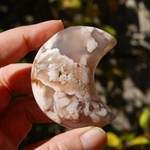 Sakura Flower Agate Crystal Moon Palm Stone