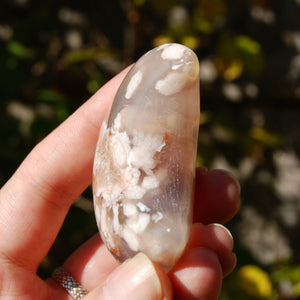 Sakura Flower Agate Crystal Moon Palm Stone