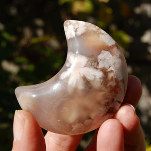 Sakura Flower Agate Crystal Moon Palm Stone