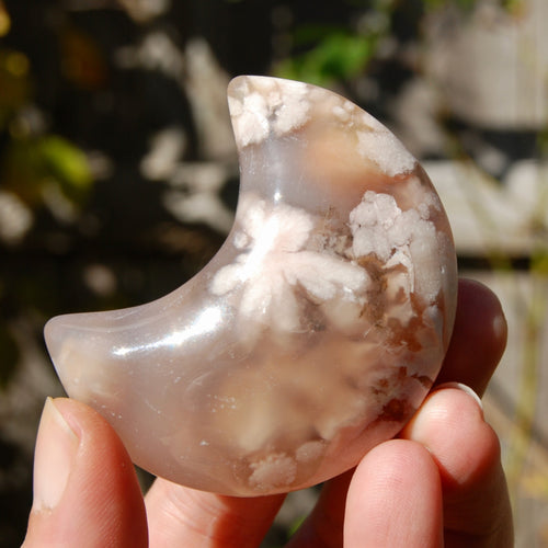 Sakura Flower Agate Crystal Moon Palm Stone