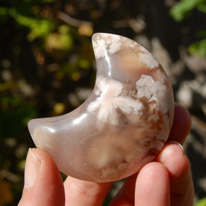 Sakura Flower Agate Crystal Moon Palm Stone