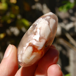 Sakura Flower Agate Crystal Moon Palm Stone