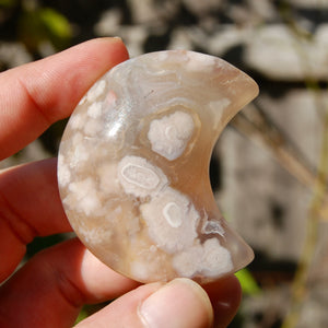 Sakura Flower Agate Crystal Moon Palm Stone
