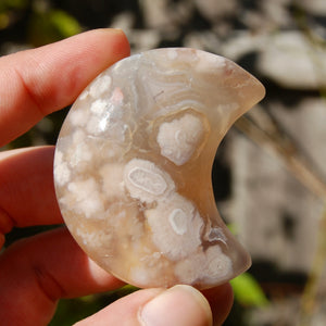 Sakura Flower Agate Crystal Moon Palm Stone