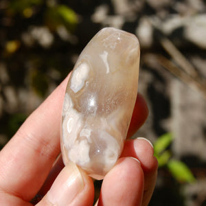 Sakura Flower Agate Crystal Moon Palm Stone