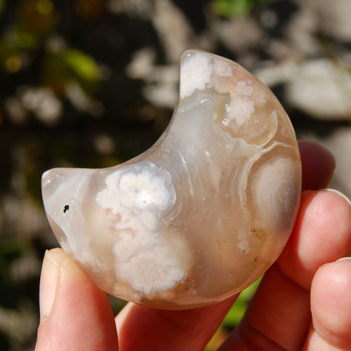 Sakura Flower Agate Crystal Moon Palm Stone