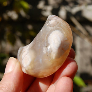 Sakura Flower Agate Crystal Moon Palm Stone