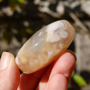 Sakura Flower Agate Crystal Moon Palm Stone
