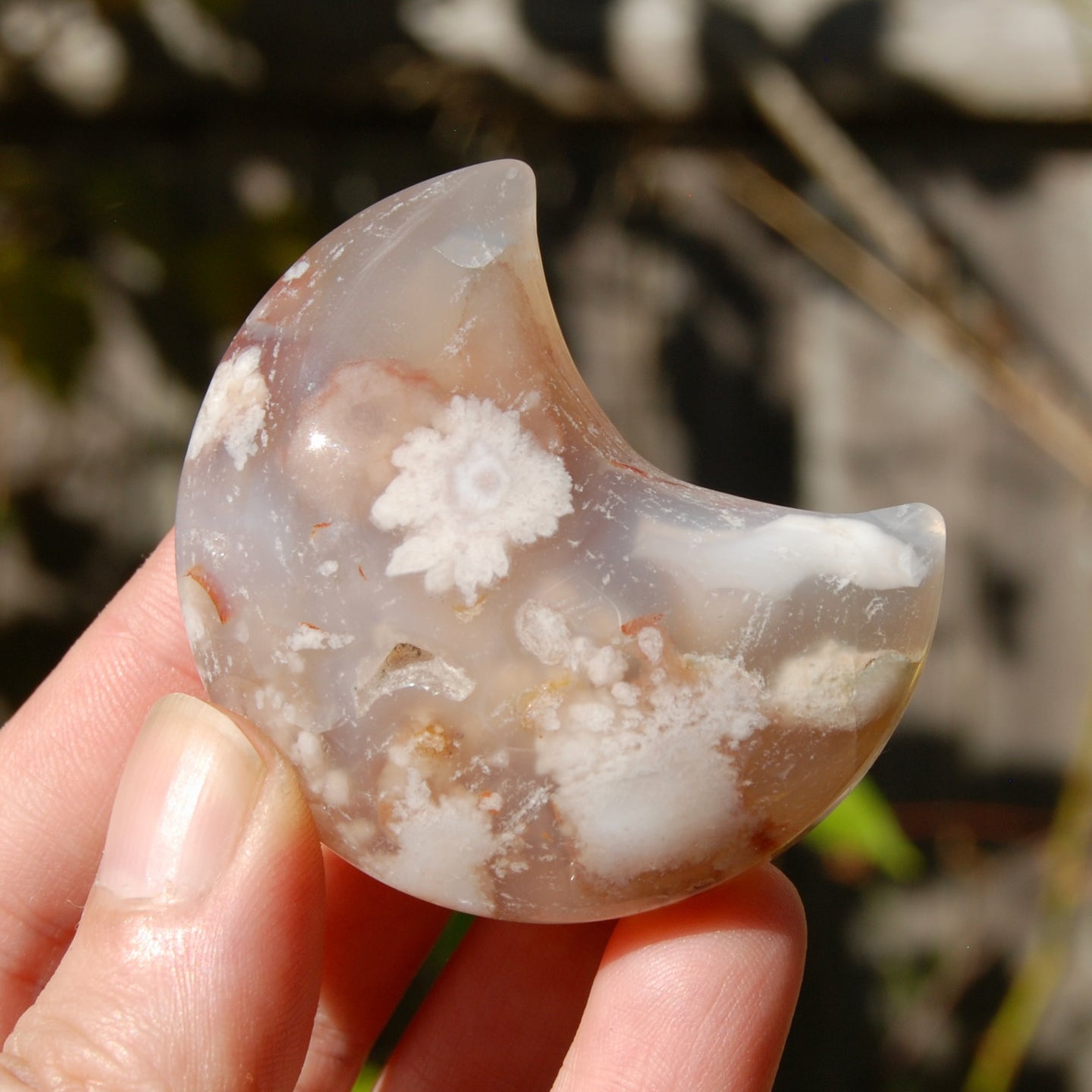 Sakura Flower Agate Crystal Moon Palmstone