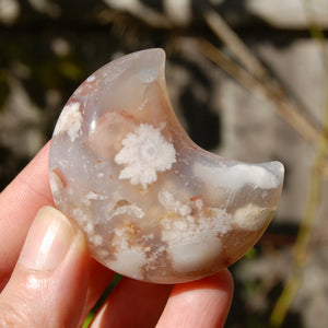 Sakura Flower Agate Crystal Moon Palmstone