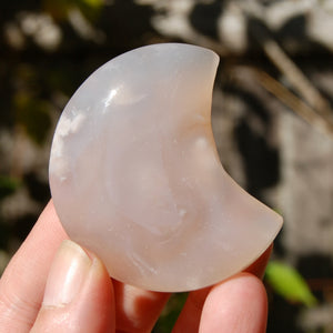 Sakura Flower Agate Crystal Moon Palm Stone