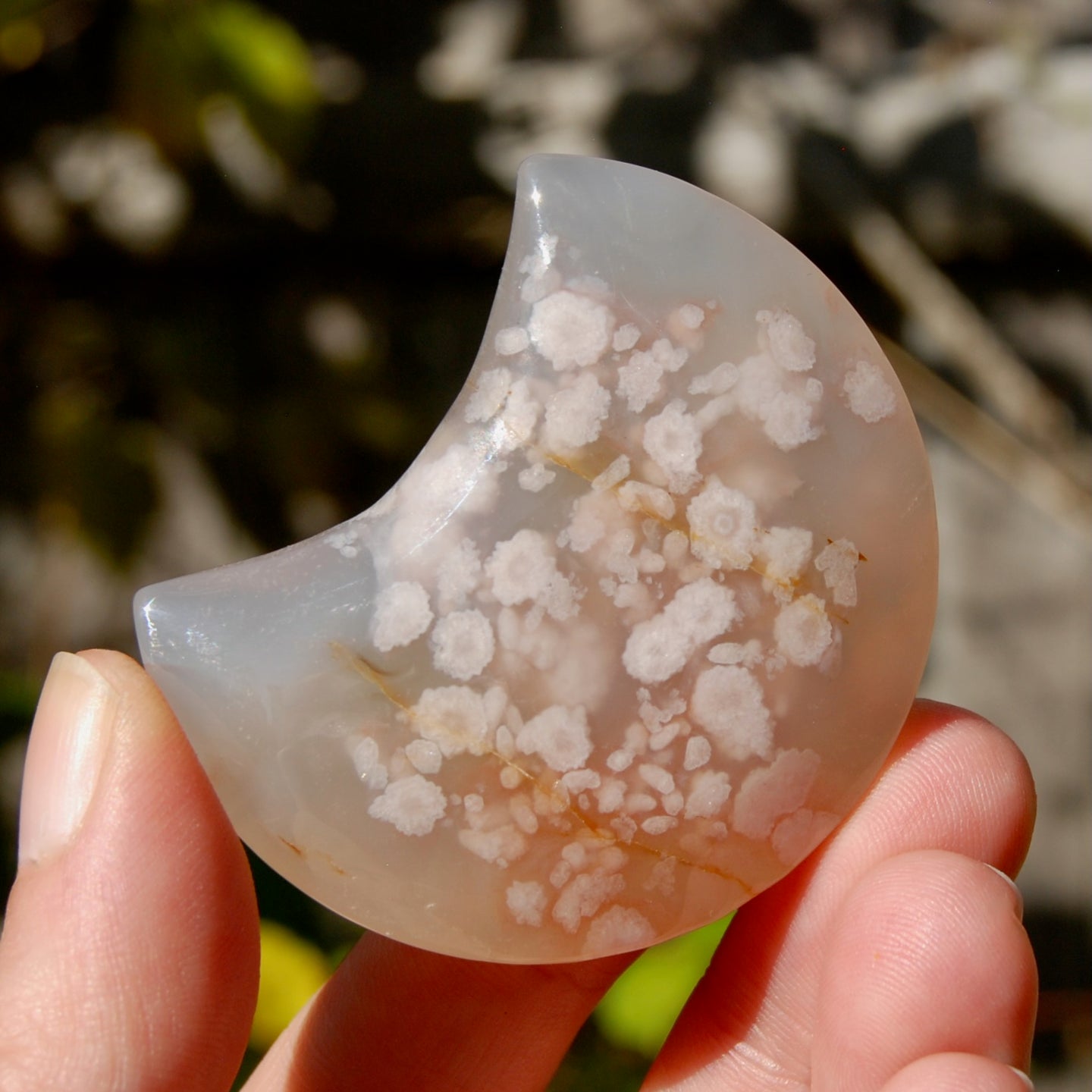 Sakura Flower Agate Crystal Moon Palm Stone