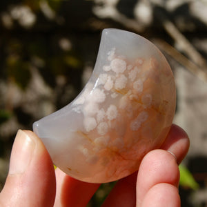 Sakura Flower Agate Crystal Moon Palm Stone