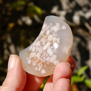 Sakura Flower Agate Crystal Moon Palm Stone