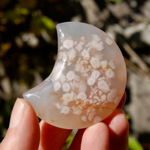 Sakura Flower Agate Crystal Moon Palm Stone