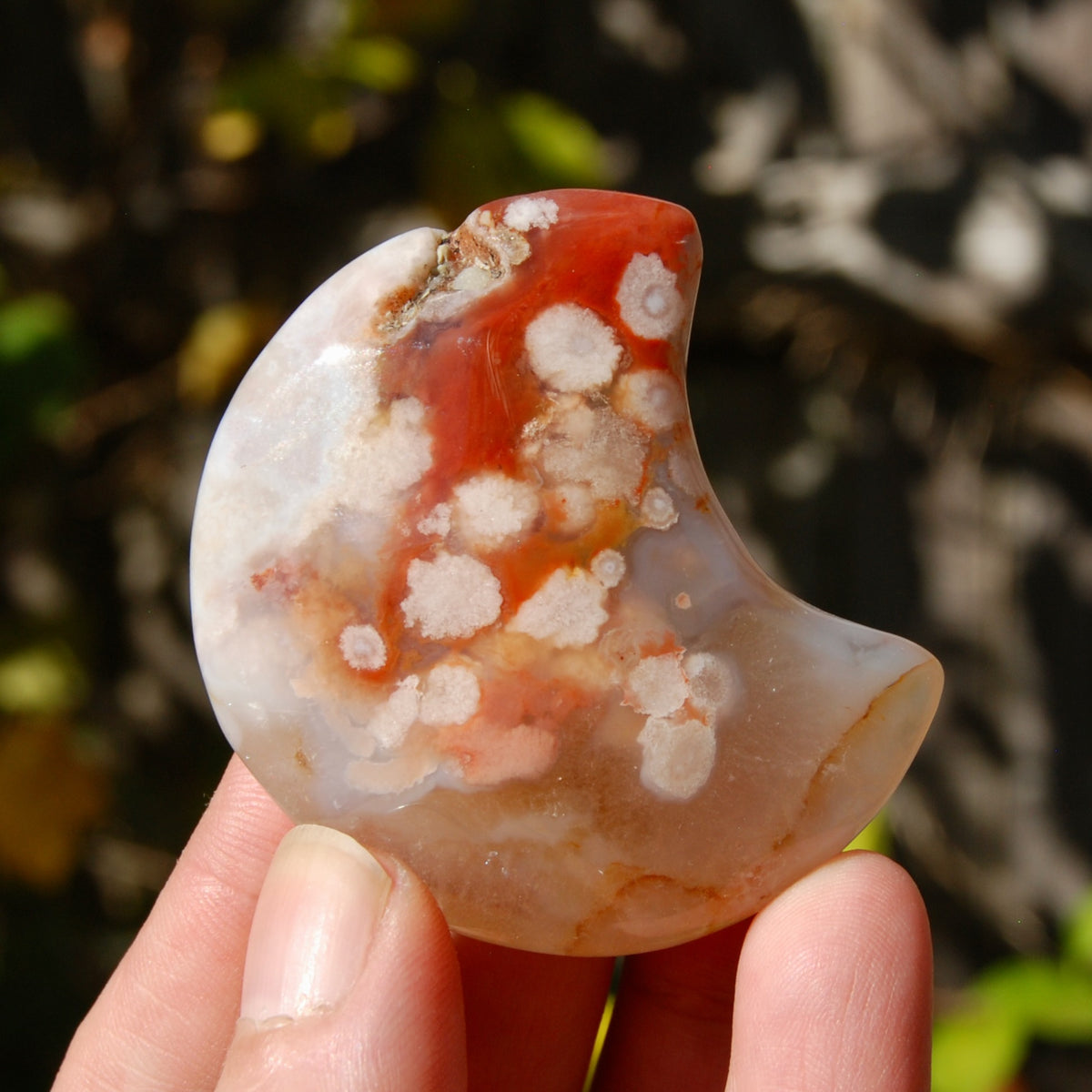 Red Sakura Flower Agate Crystal Moon Palm Stone