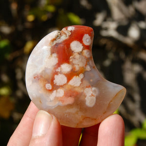 Red Sakura Flower Agate Crystal Moon Palm Stone