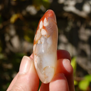 Red Sakura Flower Agate Crystal Moon Palm Stone