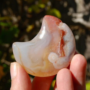 Red Sakura Flower Agate Crystal Moon Palm Stone