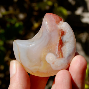 Red Sakura Flower Agate Crystal Moon Palm Stone