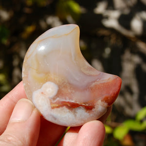 Red Sakura Flower Agate Crystal Moon Palm Stone