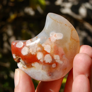 Red Sakura Flower Agate Crystal Moon Palm Stone