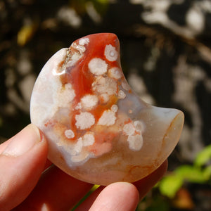 Red Sakura Flower Agate Crystal Moon Palm Stone