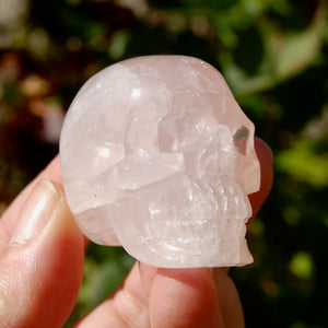 STAR Rose Quartz Crystal Skull