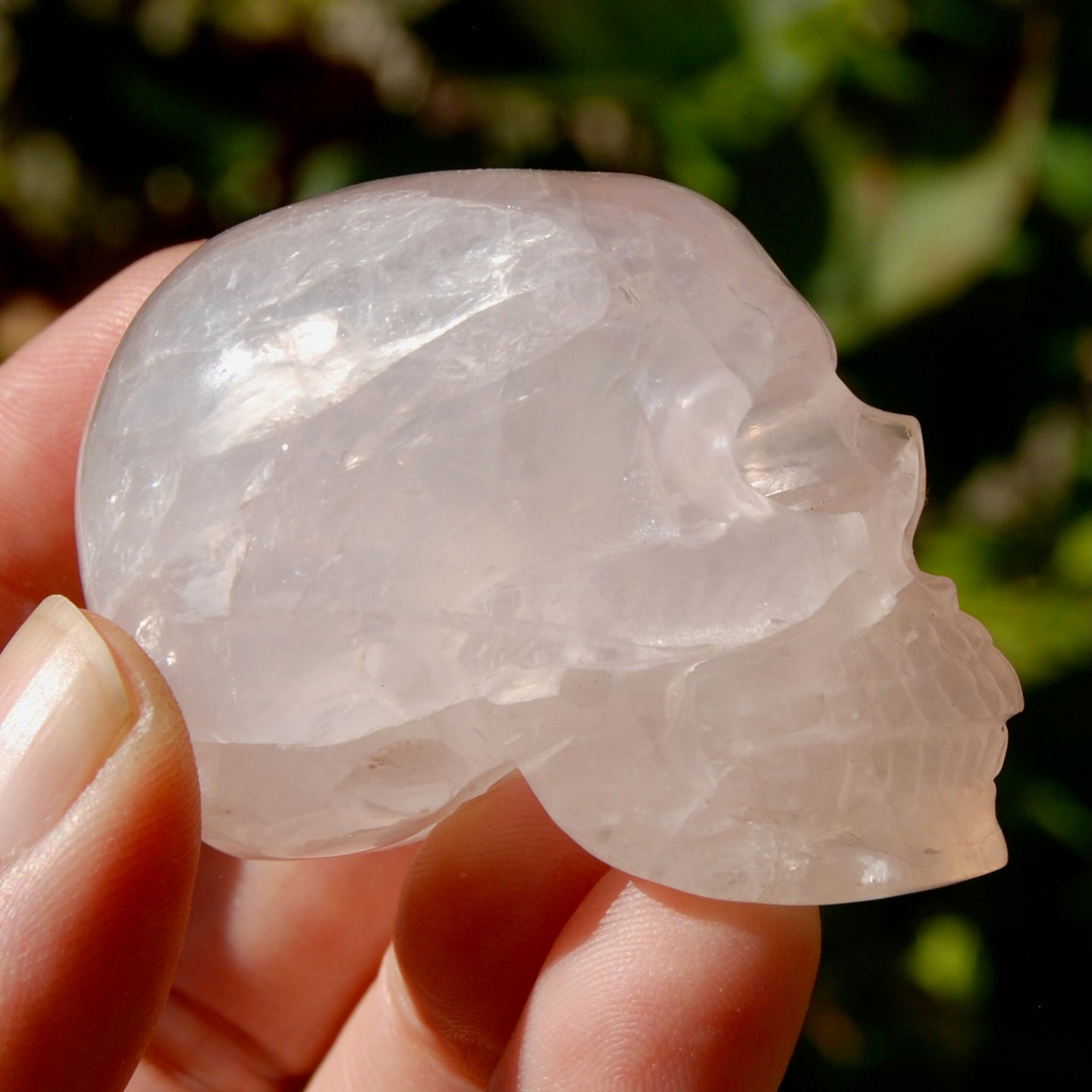 STAR Rose Quartz Crystal Skull