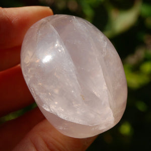 STAR Rose Quartz Crystal Skull