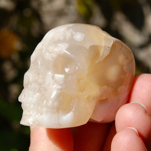 Sakura Agate Crystal Skull