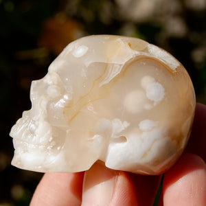 Sakura Flower Agate Crystal Skull