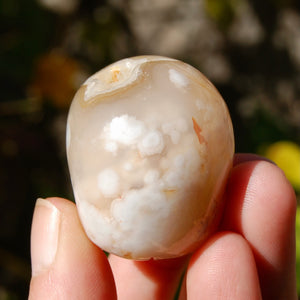 Sakura Agate Crystal Skull