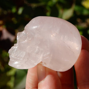 STAR Rose Quartz Crystal Skull