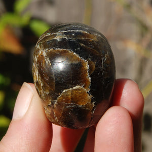 Labradorite Crystal Skull