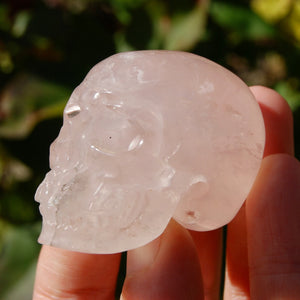 STAR Rose Quartz Crystal Skull