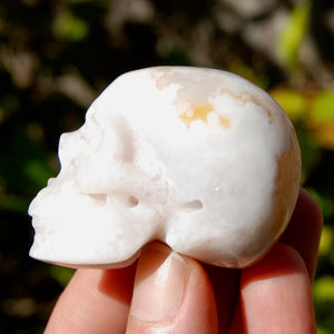 Sakura Agate Crystal Skull