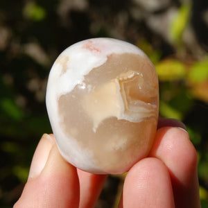 Sakura Agate Crystal Skull