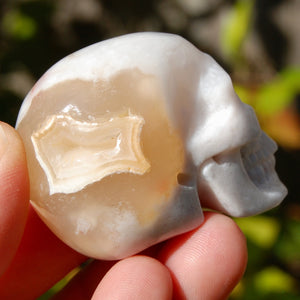 Sakura Agate Crystal Skull