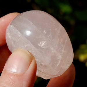 STAR Rose Quartz Crystal Skull