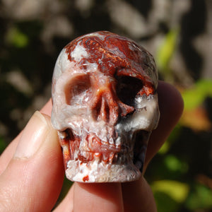 Crazy Lace Agate Crystal Skull