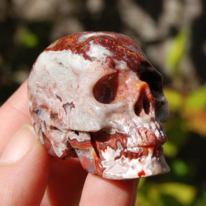 Crazy Lace Agate Crystal Skull