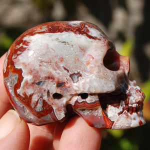 Crazy Lace Agate Crystal Skull