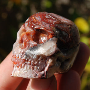 Crazy Lace Agate Crystal Skull