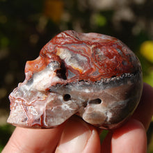 Load image into Gallery viewer, Crazy Lace Agate Crystal Skull
