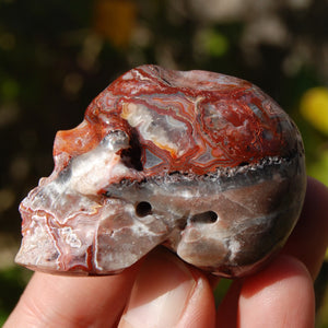 Crazy Lace Agate Crystal Skull